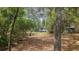 Exterior view of a home surrounded by nature, showcasing its peaceful setting at 14620 Se 47Th Loop, Ocklawaha, FL 32179