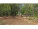 Natural landscape featuring a serene path lined with trees at 14620 Se 47Th Loop, Ocklawaha, FL 32179