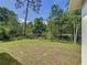 Backyard view with sparse grass and perimeter trees at 2376 Se 40Th Street Road, Ocala, FL 34480