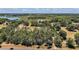 Scenic aerial view showcasing the property's lush greenery, lake, and surrounding wooded areas at 26200 Se Highway 42, Umatilla, FL 32784