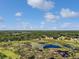 Picturesque aerial view of property with pond, wetland vegetation, and distant trees and water at 26200 Se Highway 42, Umatilla, FL 32784
