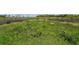 A natural setting with rich green vegetation and diverse plant life at 26200 Se Highway 42, Umatilla, FL 32784