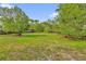 Expansive backyard featuring lush green grass, mature trees, and a well-defined perimeter at 3807 Sw 143Rd Lane Rd, Ocala, FL 34473