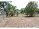 A home with a chain link fence and large trees in the backyard at 3807 Sw 143Rd Lane Rd, Ocala, FL 34473