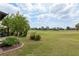 Expansive backyard with views, framed by lush landscaping, offering a private outdoor retreat at 6816 Sw 95Th Cir, Ocala, FL 34481
