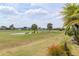 Scenic golf course view with lush green fairways, palm trees, and a clear blue sky with scattered clouds at 6816 Sw 95Th Cir, Ocala, FL 34481