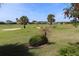 Scenic golf course view with well-manicured lawns and tropical landscaping at 6816 Sw 95Th Cir, Ocala, FL 34481