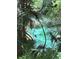 Calm and tranquil pond with crystal-clear blue waters, viewed through leafy foliage at 21168 Sw Peach Blossom St, Dunnellon, FL 34431