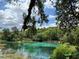 Inviting swimming area in nature with clear water for residents to enjoy at 21168 Sw Peach Blossom St, Dunnellon, FL 34431