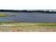 Expansive lake view showing water, horizon, sky, and trees with some sand in the foreground at 21570 Sw Raintree St, Dunnellon, FL 34431
