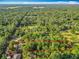 A beautiful homesite with lots of trees and room to roam at 5092 Sw 197Th Ter, Dunnellon, FL 34431