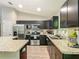 Spacious kitchen with stainless steel appliances and ample counter space at 5092 Sw 197Th Ter, Dunnellon, FL 34431