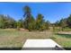 View of a large backyard and the surrounding community at 6776 Sw 151St Loop, Ocala, FL 34473
