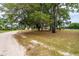Long driveway leading into secluded property with mature trees and green lawns at 10631 W Highway 40, Ocala, FL 34482