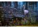 A Great Egret stands in the shallows, with its reflection visible in the clear water at 660 Silver Pass, Ocala, FL 34472