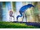 A sandhill crane and chick forage at the water's edge at 660 Silver Pass, Ocala, FL 34472