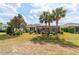 Expansive backyard with lush landscaping, towering palms, and a screened-in lanai with ample space for outdoor living at 7455 Sw 97Th Terrace Rd, Ocala, FL 34481