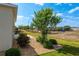 The backyard has a well-manicured lawn, small trees, and a partial fence at 9923 Sw 98Th Ln, Ocala, FL 34481