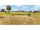 Expansive backyard with lush green lawn, palm trees, and bird feeders at 5245 Nw 21St Loop, Ocala, FL 34482