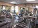 Well-equipped gym with modern weight machines and fitness equipment for a complete workout at 11411 Sw 138Th Ln, Dunnellon, FL 34432