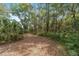 Secluded wooded lot, covered in leaves with mature trees and lush greenery at 1179 Se 170Th Ct, Silver Springs, FL 34488