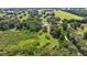 Aerial view showcasing the property's vast land with verdant vegetation surrounding the estate at 14171 Sw 8Th Ave, Ocala, FL 34473