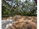Long driveway through mature trees at 4981 Ne 110Th Street Ne St, Anthony, FL 32617