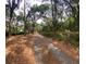 Gravel driveway through mature trees at 4981 Ne 110Th Street Ne St, Anthony, FL 32617