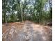 Gravel driveway through mature trees at 4981 Ne 110Th Street Ne St, Anthony, FL 32617