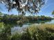 Scenic river view featuring clear, green water surrounded by lush greenery and majestic trees at 8951 Sw 202Nd Avenue Rd, Dunnellon, FL 34431
