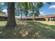 Backyard view of screened lanais and mature trees at 3449 Sw 19Th St, Ocala, FL 34474