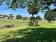 Serene backyard view showcasing the beautifully landscaped golf course and mature trees at 9314 Sw 90Th St, Ocala, FL 34481