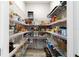 Well-organized walk-in pantry with ample shelving for storage at 10082 Sw 82Nd Place Rd, Ocala, FL 34481