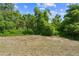 Overgrown backyard with lots of trees and greenery provides natural privacy at 17147 Sw 42Nd Ct, Ocala, FL 34473