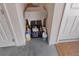 Laundry sink in garage with a striped cover and bleach cleaning products stored underneath at 3154 Merrit Ln, The Villages, FL 32163