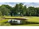 Idyllic golf course with a tranquil pond and lush trees, perfect for a peaceful game at 4379 Nw 56Th Ct, Ocala, FL 34482