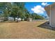 Expansive backyard featuring lush greenery, a storage shed, and ample space for outdoor activities at 6791 Se 100Th Pl, Belleview, FL 34420