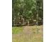 Natural wooded backyard offering privacy and a serene natural setting at 7488 Sw 204Th Ave, Dunnellon, FL 34431