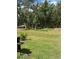 Expansive backyard with lush greenery, offering privacy and space for outdoor activities at 7488 Sw 204Th Ave, Dunnellon, FL 34431