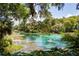Scenic view of clear, turquoise waters surrounded by lush, green trees at 7488 Sw 204Th Ave, Dunnellon, FL 34431