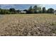An empty lot with grassy land has a blue container to the side at 13430 Ne 30Th Ct, Anthony, FL 32617