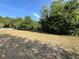 Expansive parcel of land with lush greenery and clear skies, ready for your dream home at 13430 Ne 30Th Ct, Anthony, FL 32617