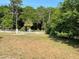 Grassy plot showcasing the property's potential, bordered by mature trees and a charming fence at 13430 Ne 30Th Ct, Anthony, FL 32617