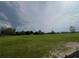 Open pasture with trees in the distance and cloudy skies above at 16850 Se 19Th Ct, Summerfield, FL 34491
