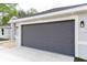 Close-up of the gray two-car garage door with modern lighting fixtures at 174 Sequioa Trl, Ocklawaha, FL 32179