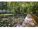Scenic waterway view featuring lily pads and lush foliage with wooden walkways along the bank at 20820 River Dr # B25, Dunnellon, FL 34431