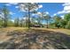 Large backyard showing a storage shed with mature trees and a clear sky at 23737 Nw Mallard Ave, Dunnellon, FL 34431