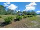 Well-maintained single-story home with trimmed bushes and lush lawn under a partly cloudy sky at 23737 Nw Mallard Ave, Dunnellon, FL 34431