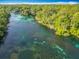Aerial view showcasing the pristine turquoise waters meandering through the lush green landscape at 9525 Sw 200 Ct, Dunnellon, FL 34431