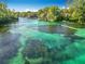 Overhead view of clear turquoise waters, lined with lush greenery and trees at 9525 Sw 200 Ct, Dunnellon, FL 34431
